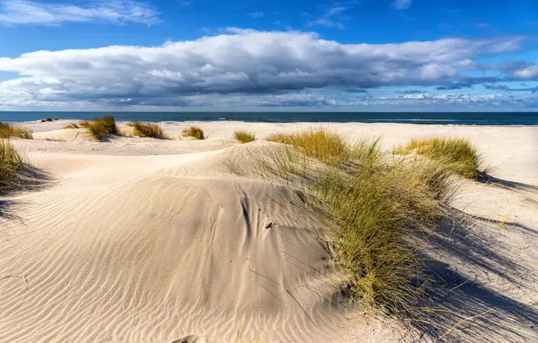 Morze Bałtyckie dla miłośników przyrody: Parki krajobrazowe i rezerwaty przyrody
